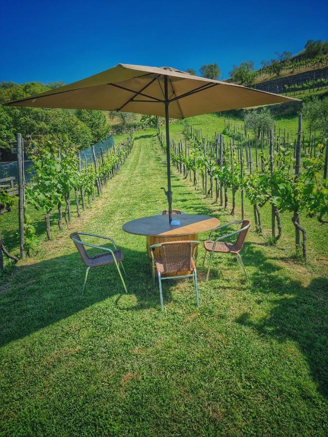 L'Oasi Di Cice Villa Rufina Exteriör bild